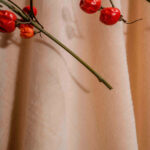 POLAR SOFT LISO BRILLOSO - Image 6